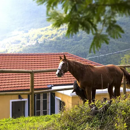 Casa Sud Miranda - Rustico Di Paese *