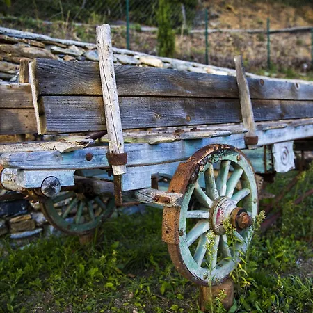 Casa Sud Miranda - Rustico Di Paese Lägenhet *