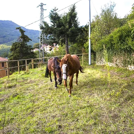 Lägenhet Casa Sud Miranda - Rustico Di Paese